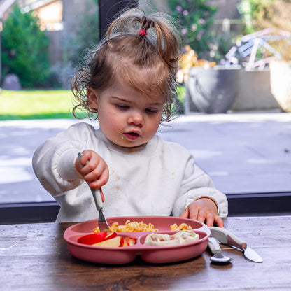 silicone suction plate