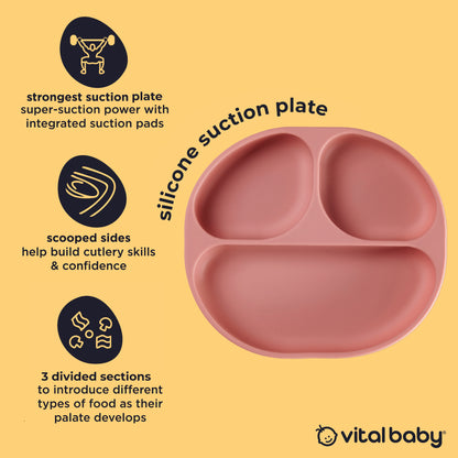 silicone suction plate